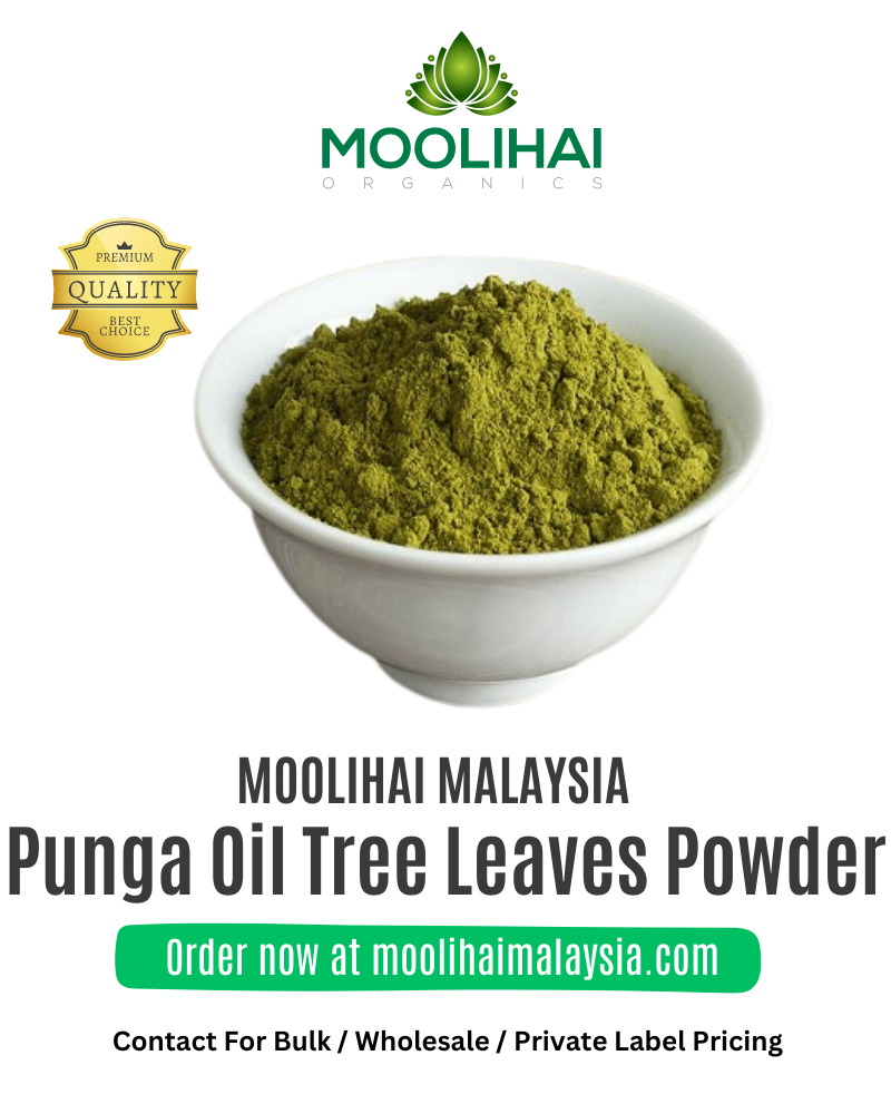Punga-Oil-Tree-Leaves-Powder-1.png