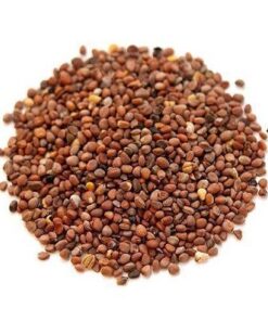 Radish Seeds / Mullangi Vidhai