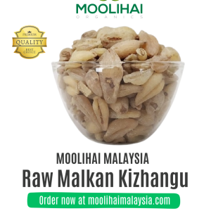 Malkan Kizhangu Mentah (Akar Kuning Colchicum) – 100g