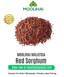 Juwar Merah / Broom-corn