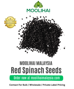 Benih Bayam Merah Organik (Bayam Amaranth)
