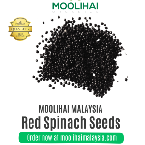 Organic Red Spinach / Amaranth Seeds