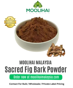 Arasam Pattai Podi / Sacred Fig Bark Powder