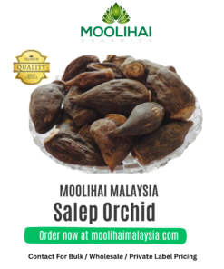 Salep Orchid / Salamisri