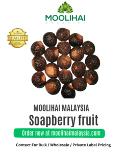 Soapberry fruit (Puskas Kaai)