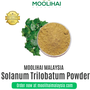 Solanum Trilobatum/Thoothuvalai Powder