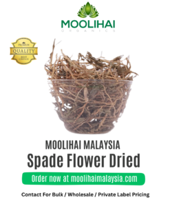 Spade Flower Dried / Orithal Thamarai