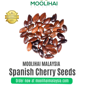 Benih Cherry Sepanyol / Magizham Vithai | 100g | Rasa Unik untuk Masakan