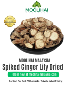 Poolankilangu Kering / Spiked Ginger Lily Kering (100gm)