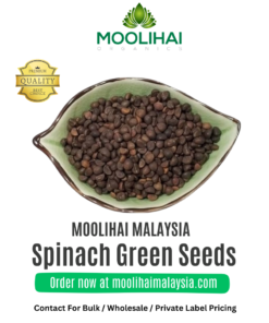 Spinach Green / Palak Seeds