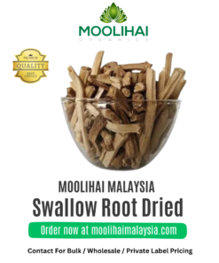 Swallow Root Dried