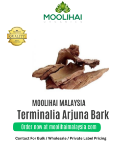 Kulit Pokok Arjuna (Terminalia Arjuna)