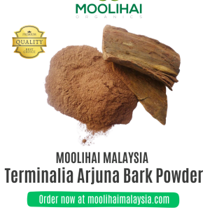 Terminalia Arjuna Bark Powder