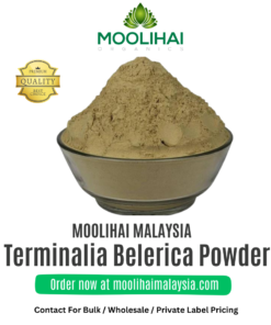 Terminalia Belerica Powder