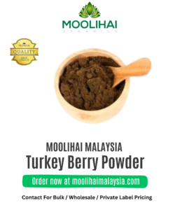 Sundaikkai / Turkey Berry Powder