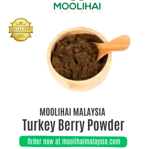 Sundaikkai / Turkey Berry Powder