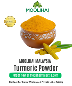 Turmeric Powder / Curcuma Longa