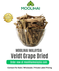Pirandai / Veldt Grape Dried / Hadjod