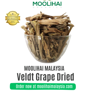 Pirandai / Veldt Grape Dried / Hadjod