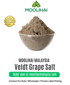 Veldt Grape Salt / Pirandai Uppu