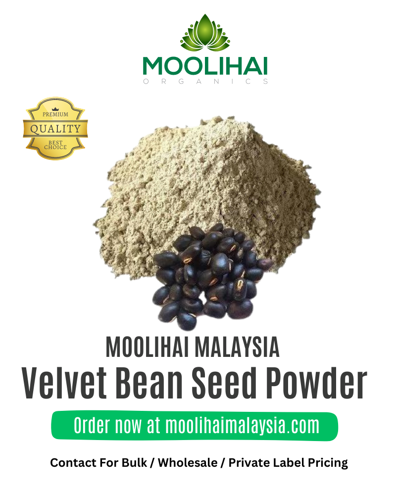 Velvet-Bean-Seed-Powder-1.png