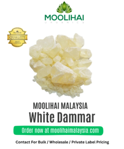 Vellai Kungiliyam / White Dammar