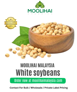 Kacang Soya Putih
