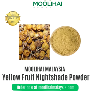 Kandan Kathiri / Yellow Fruit Nightshade Powder