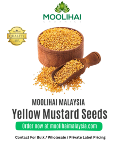 Yellow Mustard Seeds