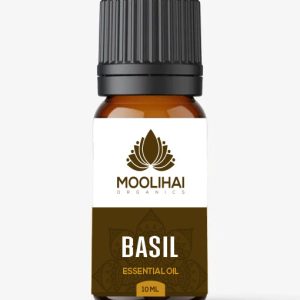Basil Essential Oil