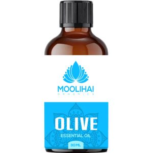 Olive Essential Oil