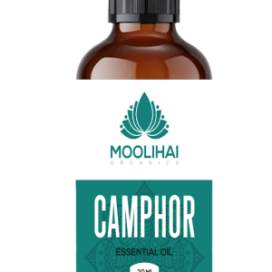 Premium Camphor Essential Oil