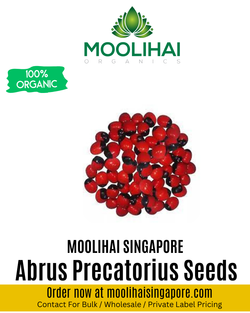 Rosary Peas / Abrus Precatorius Seeds