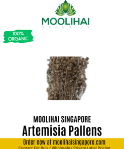 Marjoram/ Artemisia Pallens/  Marikozhundhu