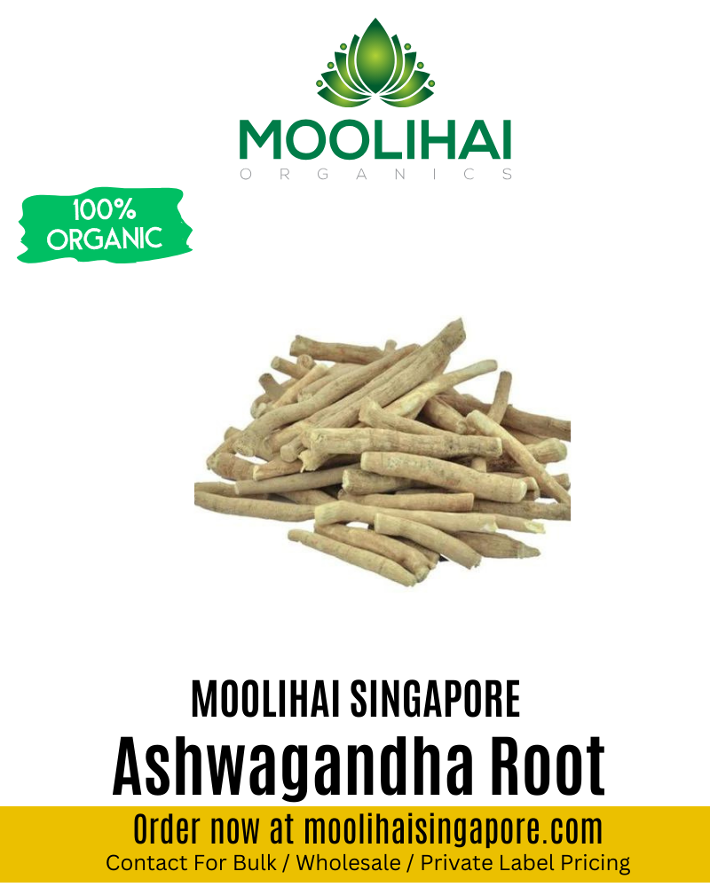 Indian Ginseng Root / Ashwagandha Root / Withania Somnifera