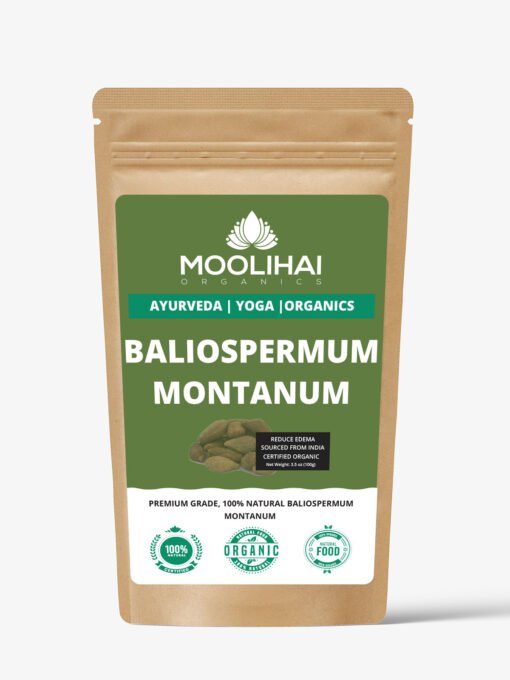 Baliospermum montanum / Danti - Image 2