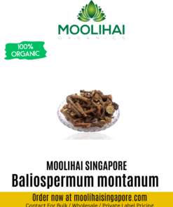 Baliospermum montanum / Danti