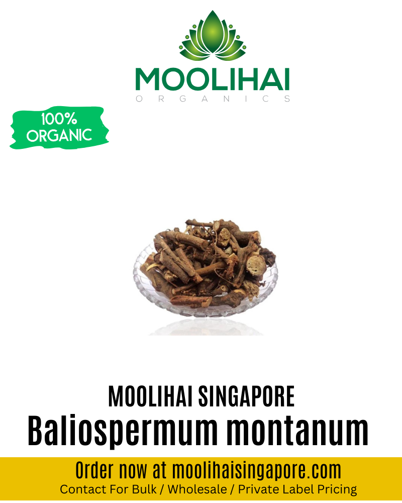 Baliospermum montanum / Danti