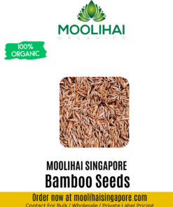 Solid Bamboo / Dendrocalamus Strictus Seeds