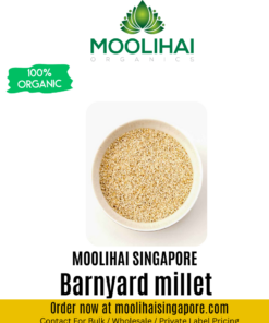 Barnyard millet
