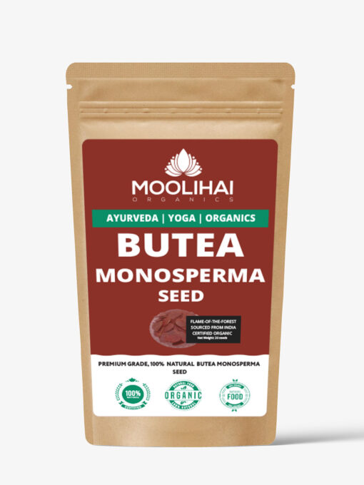 Butea Monosperma Seed - Image 2