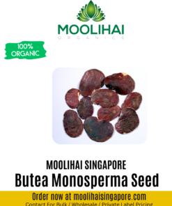 Butea Monosperma Seed