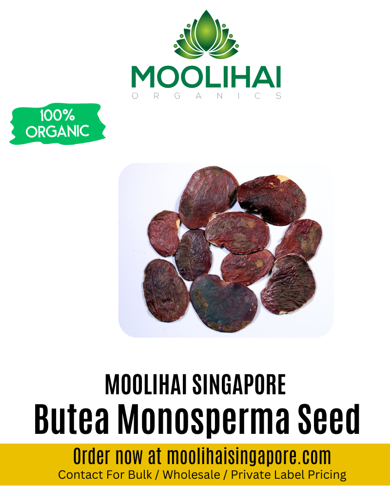 Butea Monosperma Seed