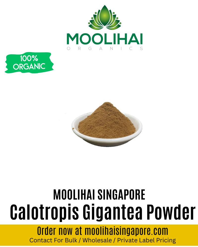 Calotropis Gigantea Powder / Velleruku Podi