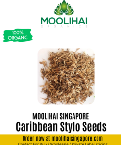 Caribbean Stylo Seeds (Stylosanthes Hamata)