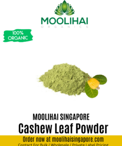 Cashew Leaf Powder