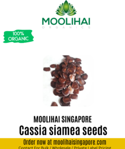Kassod Tree / Cassia siamea seeds