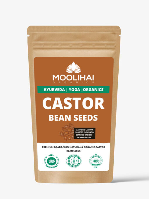 Castor Bean Seeds (Ricinus communis) - Image 2