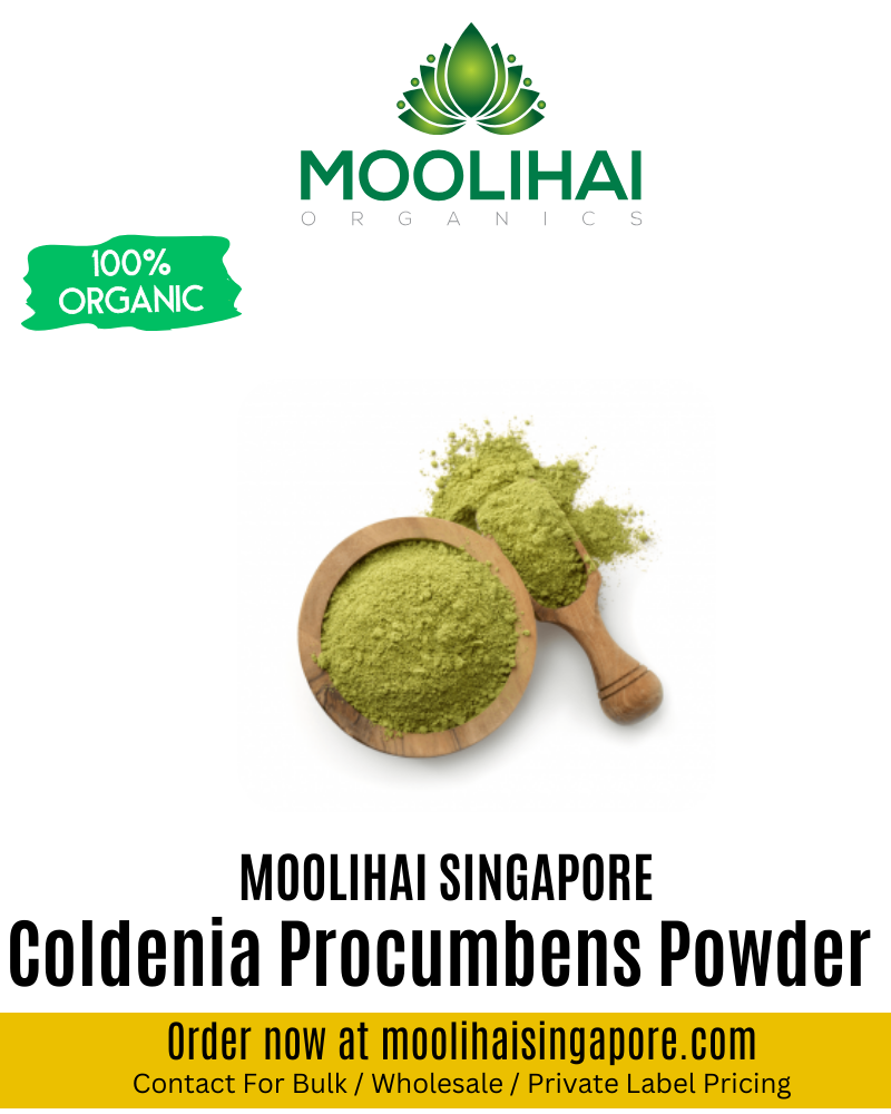 Coldenia Procumbens Powder / Siru Seruppadai Podi
