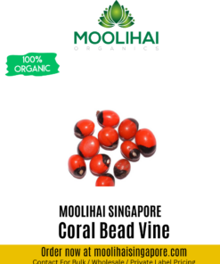 Coral Bead Vine / Rosary Pea